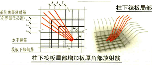 放射筋