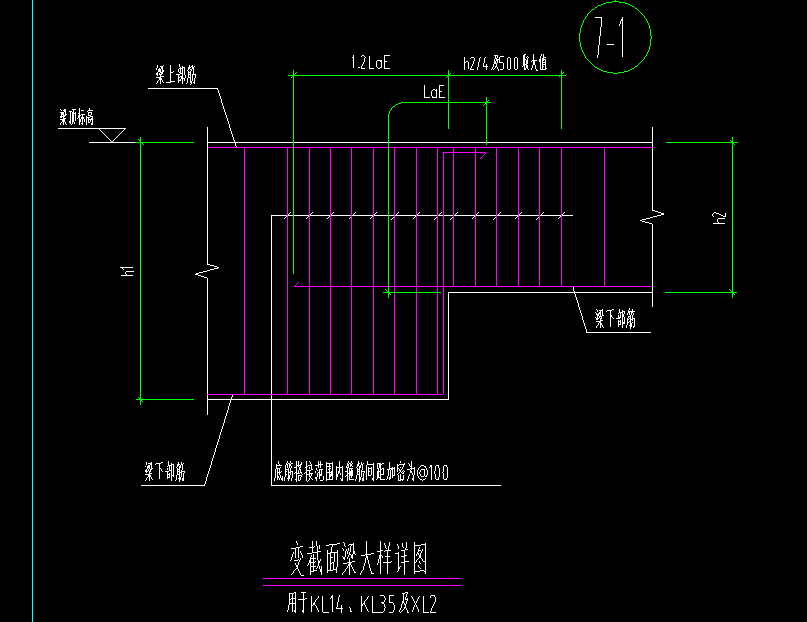 梁截面