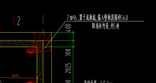 放射筋