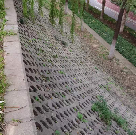 护坡
