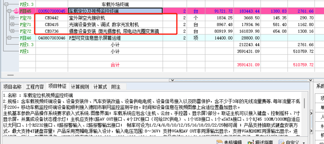 项目特征