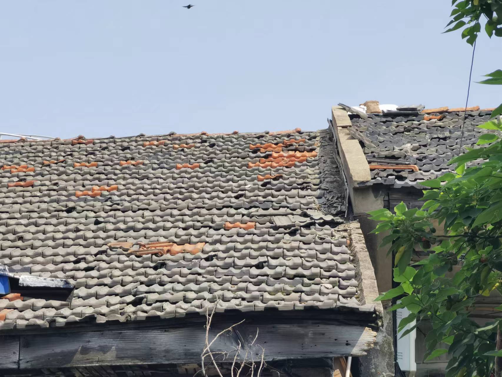 什么类型