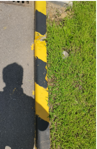 定额
