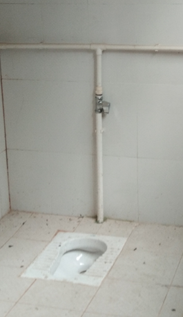 立管