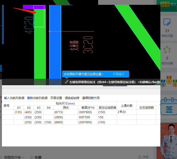 支座筋