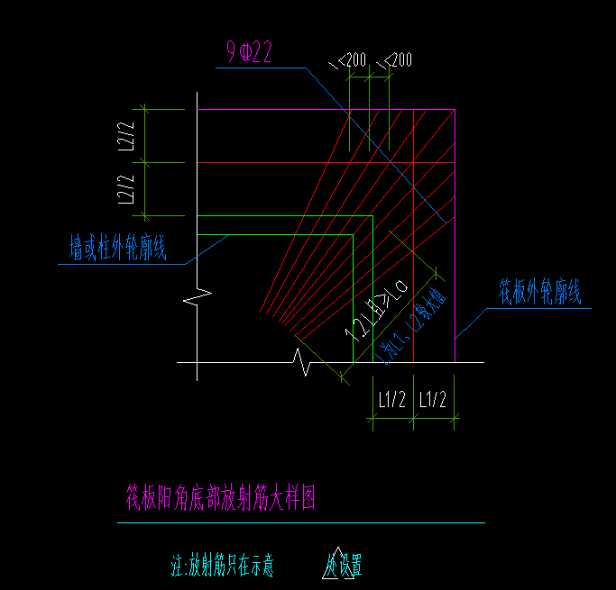 放射筋