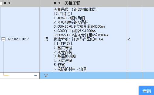 项目特征