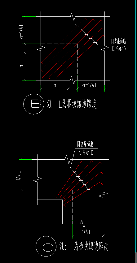 放射筋