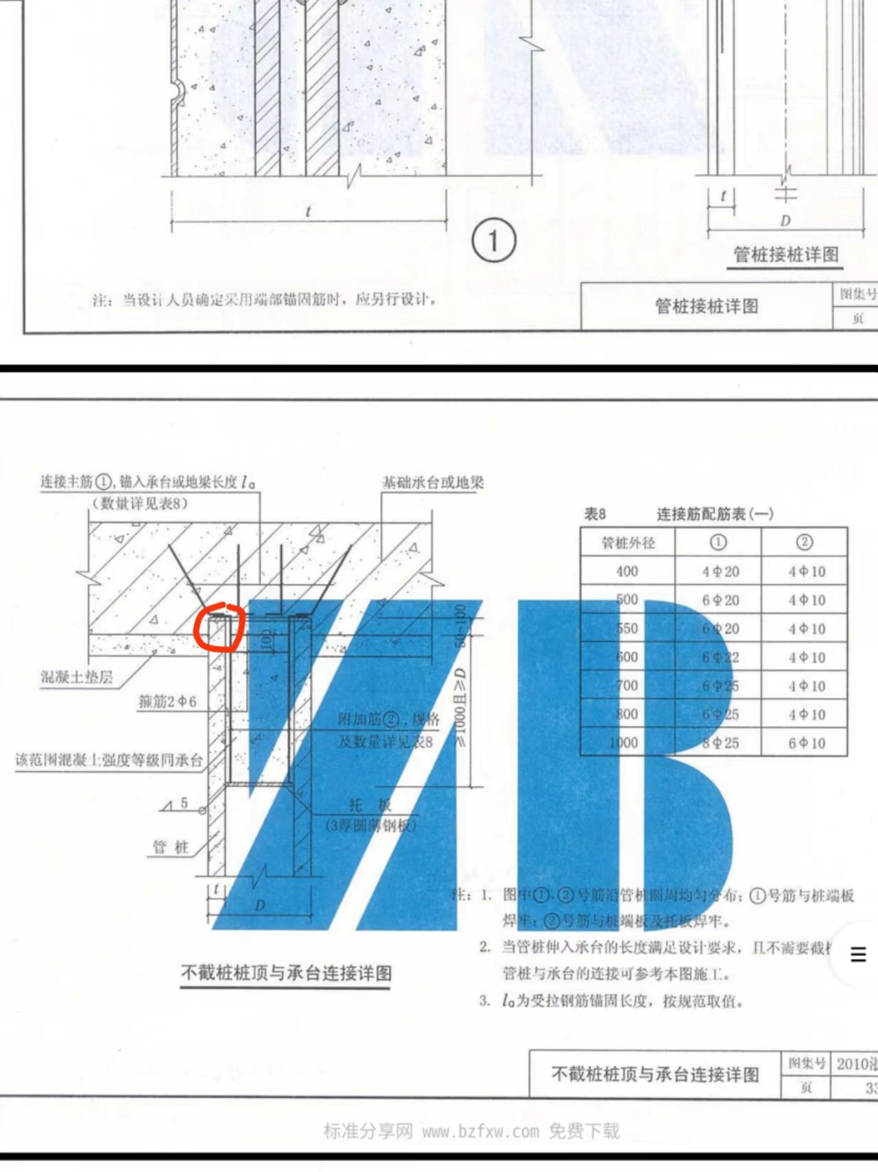 桩顶