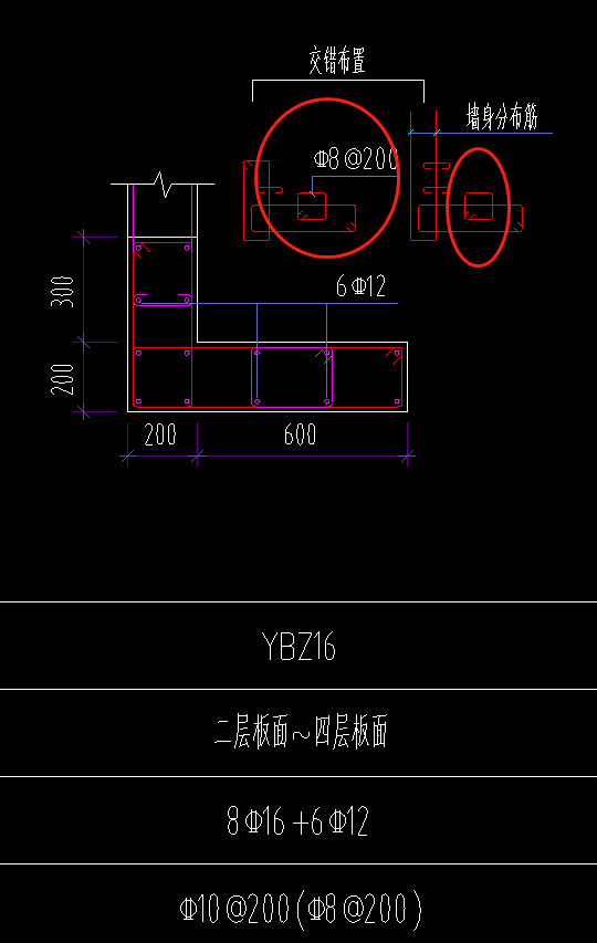 箍