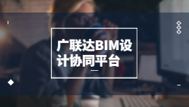 项目策划