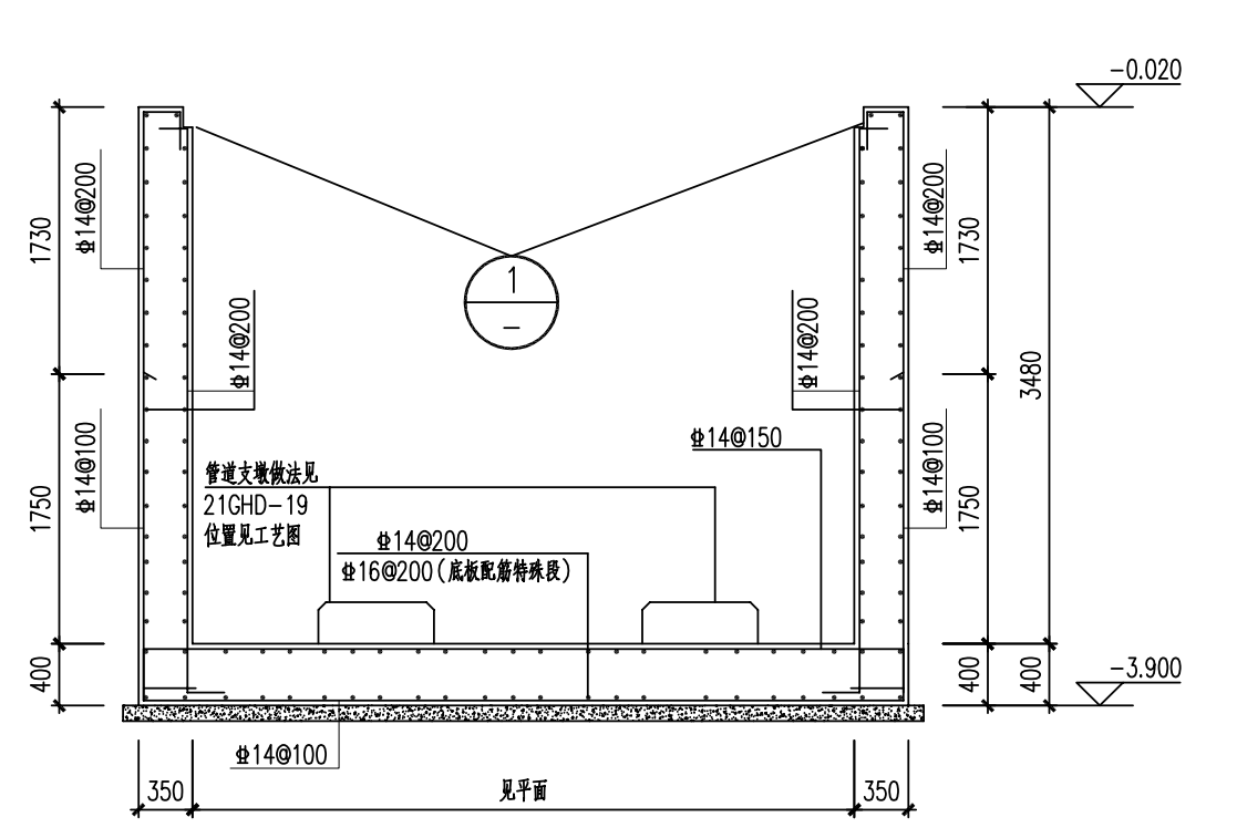 分布筋