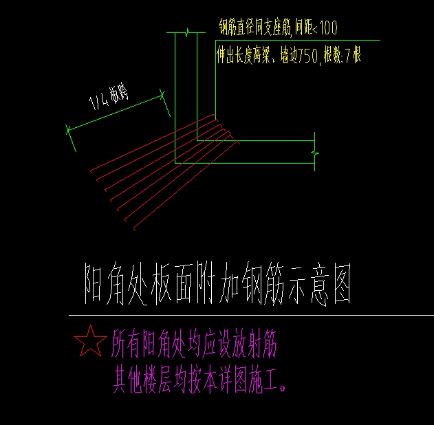 放射筋