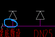 支管