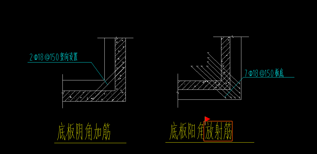 放射筋