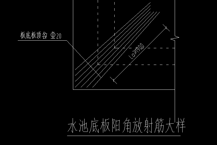 放射筋