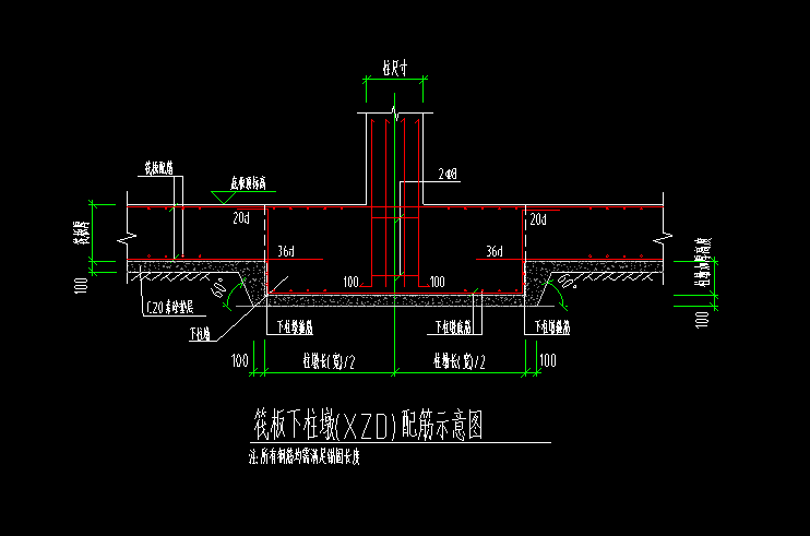 剖面图