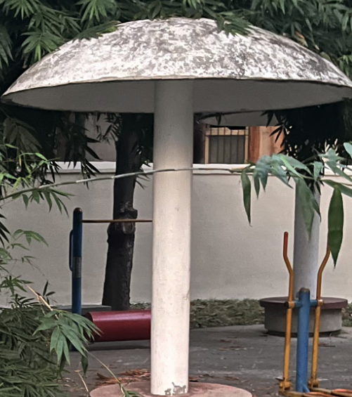 拱