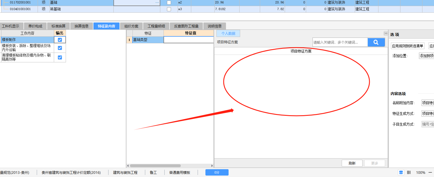 项目特征