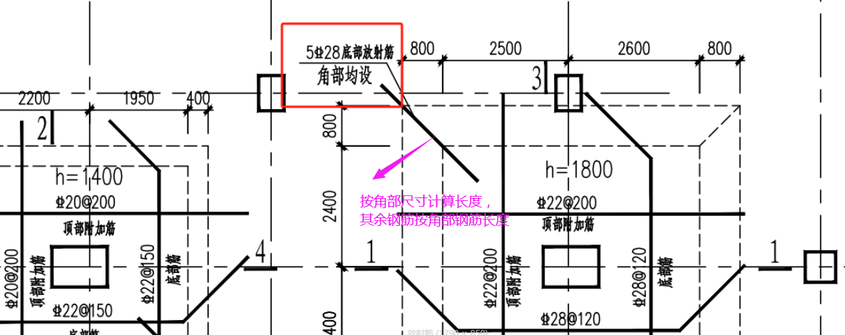 放射筋长度