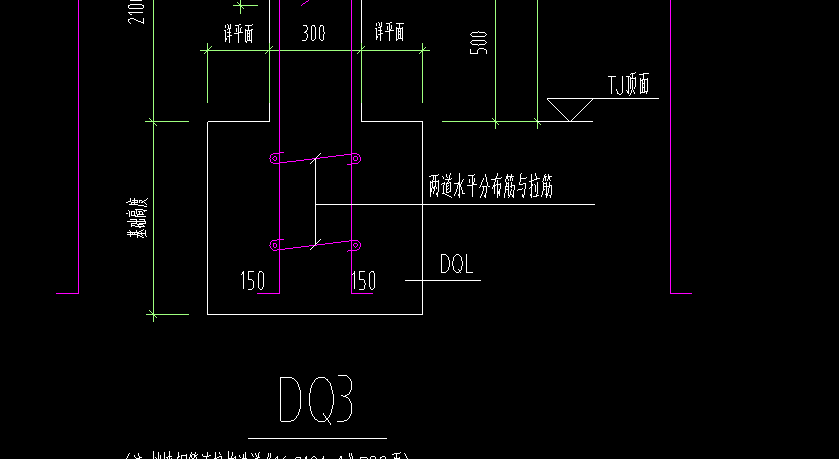 分布筋