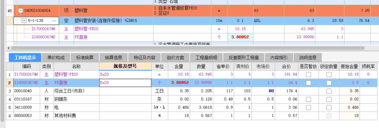项目特征