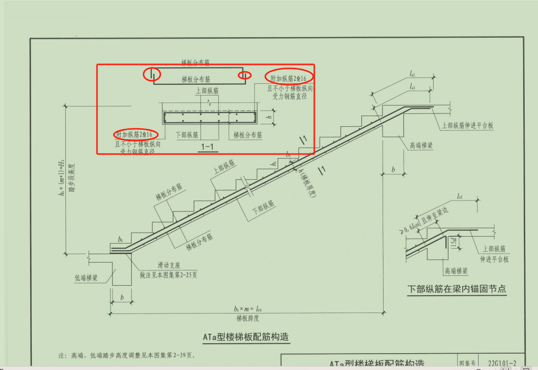 梯板分布筋