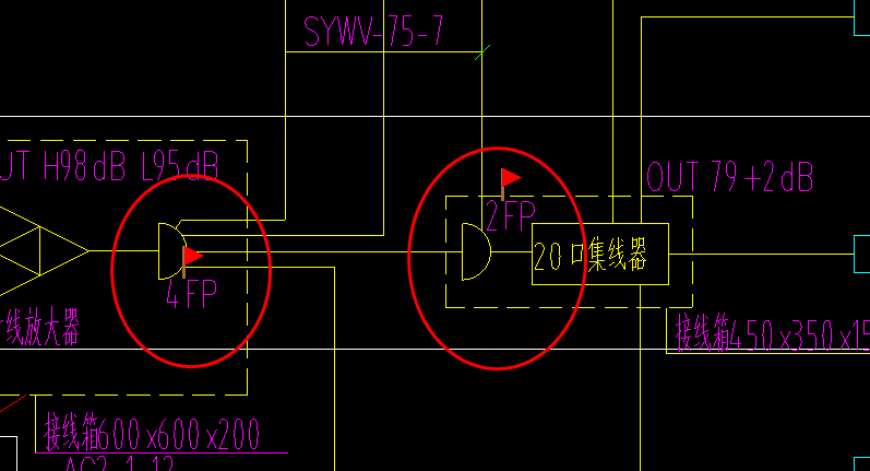 分支