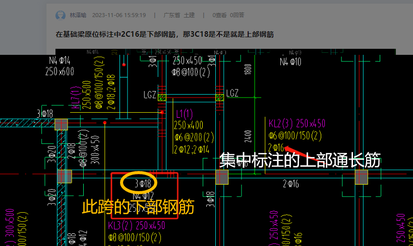 通长筋