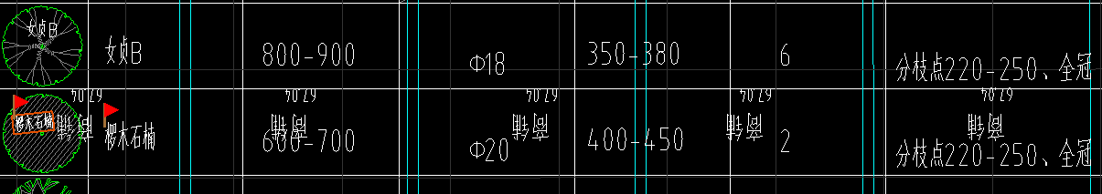 乔木