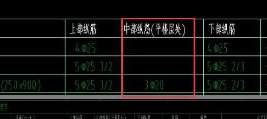 中部纵筋
