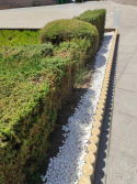 定额