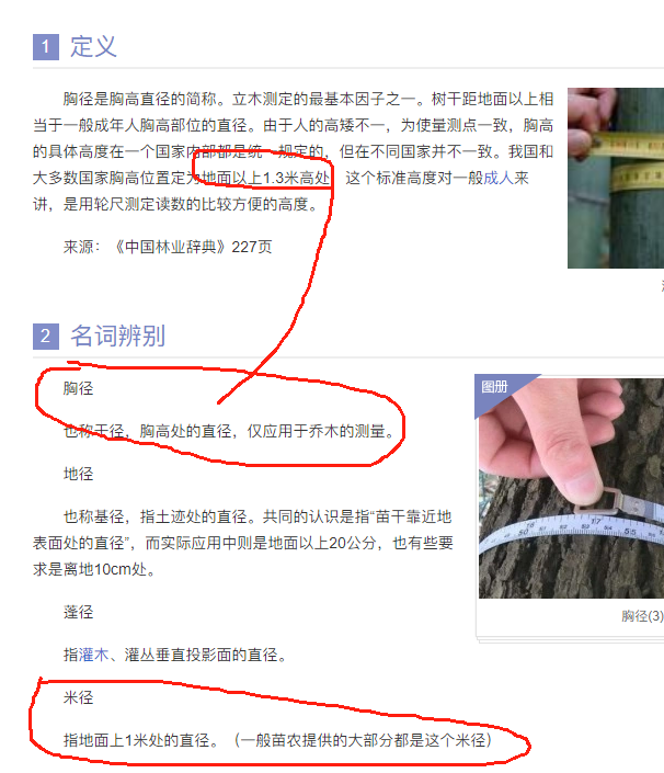 广联达服务新干线