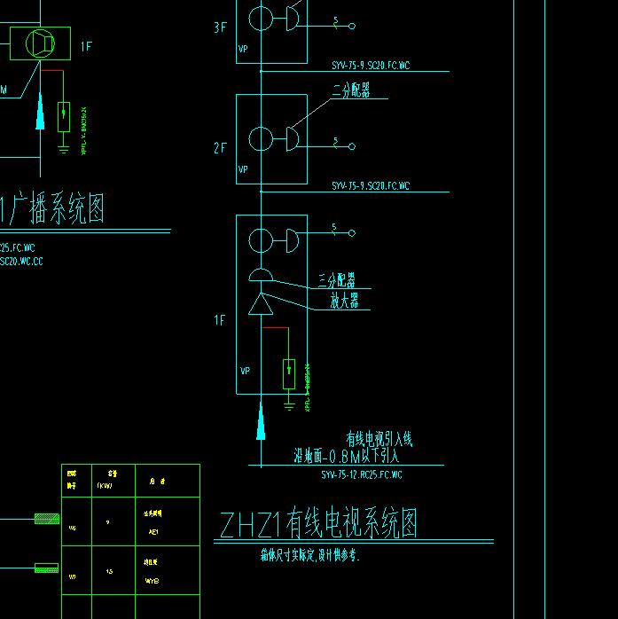 分支