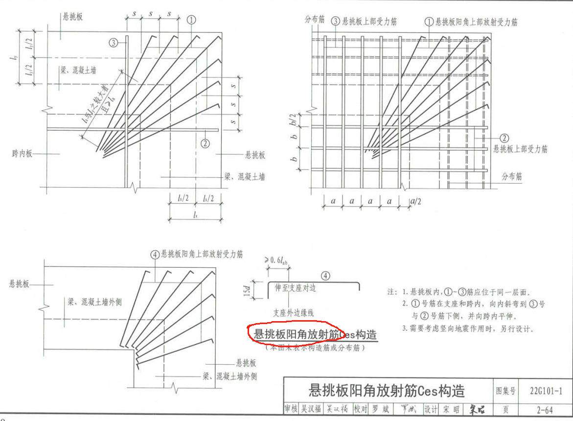 放射筋