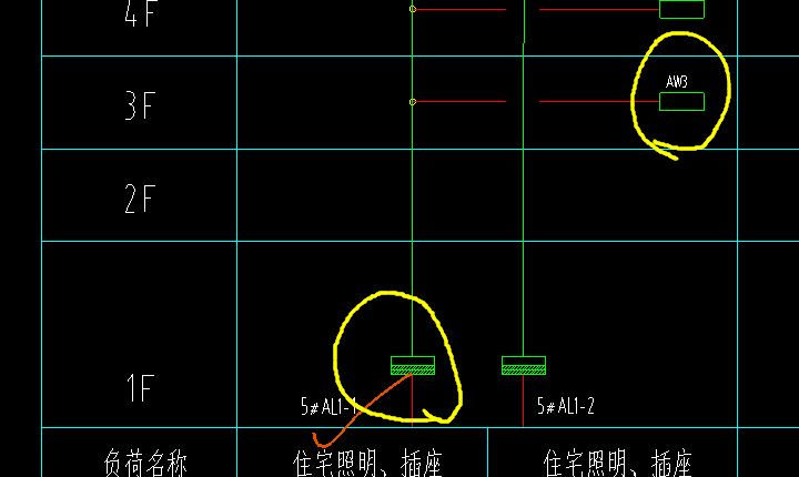 分支