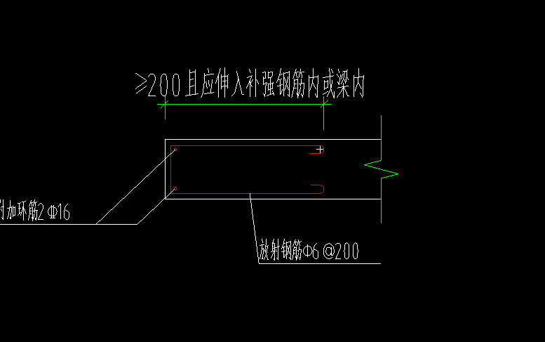 放射筋
