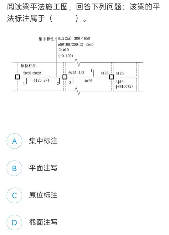 梁有