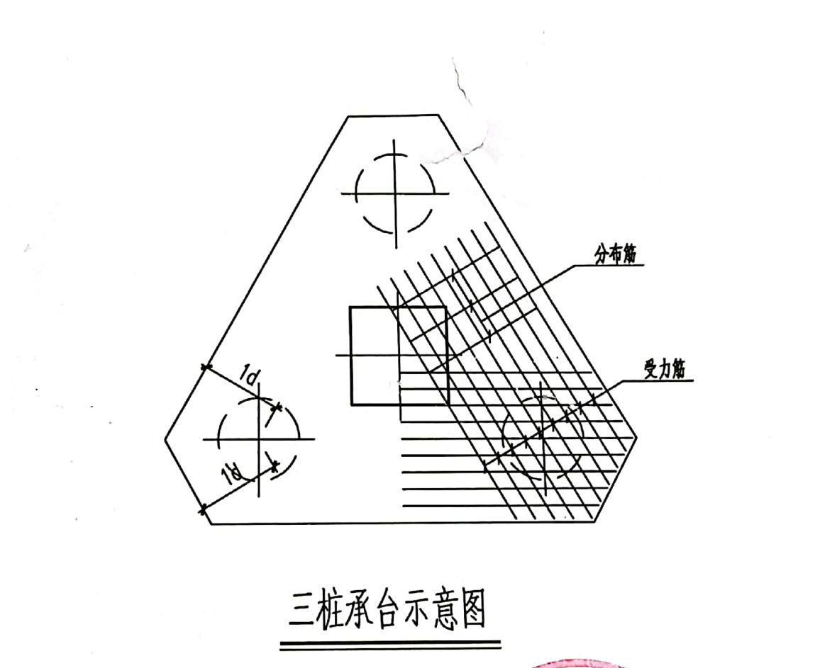 分布筋