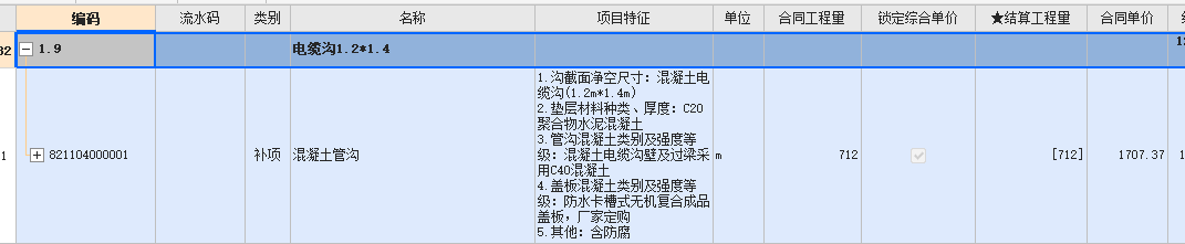 项目特征