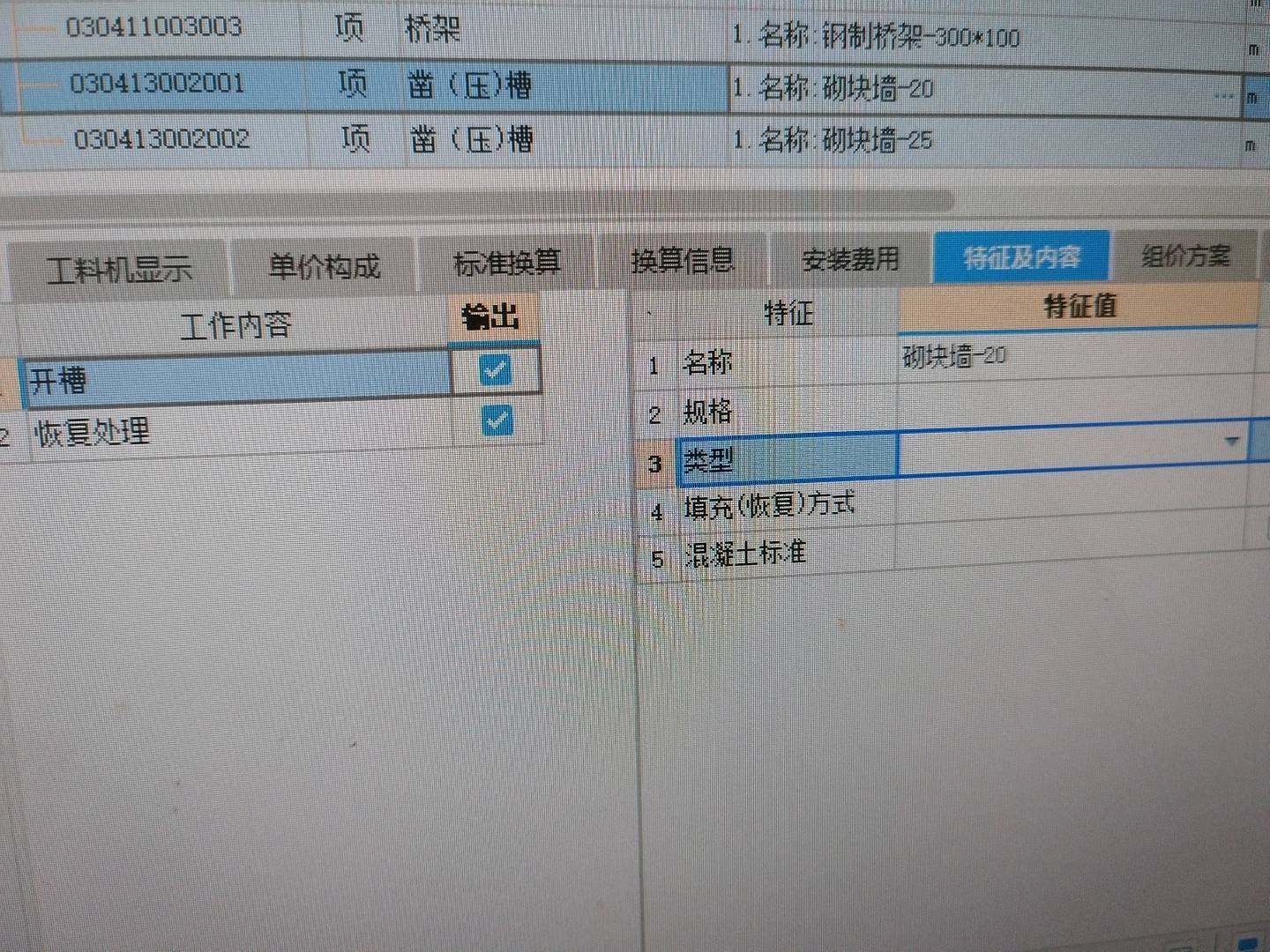 项目特征