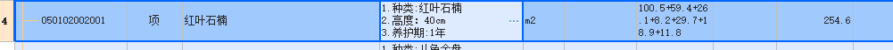 项目特征
