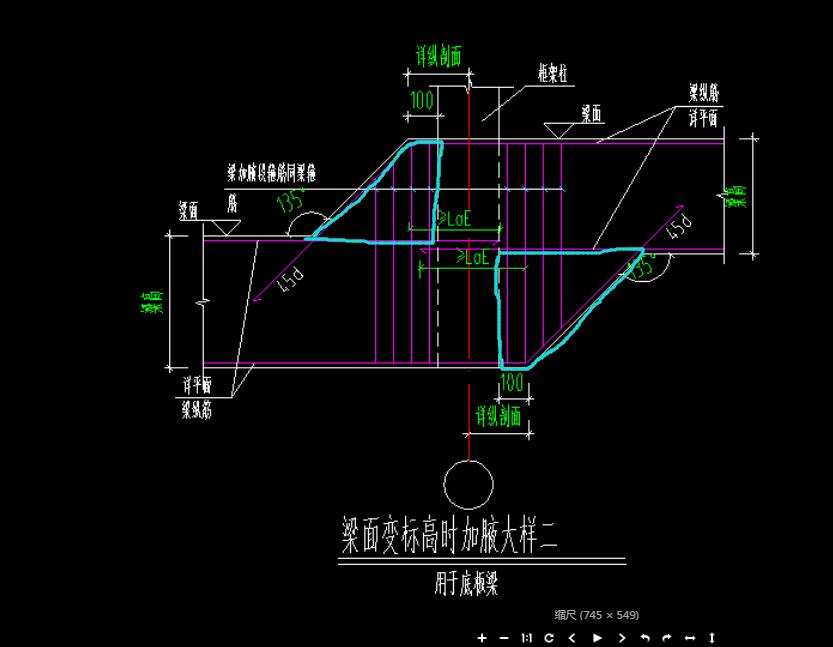 上下部纵筋