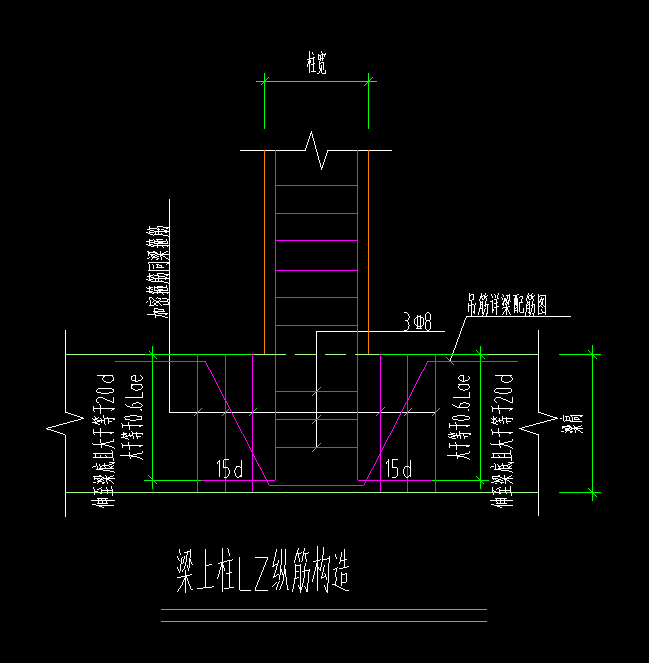 纵筋