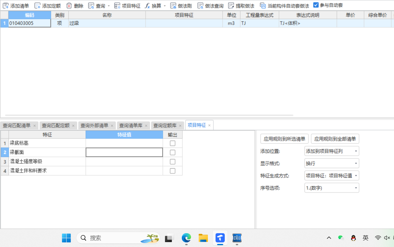 项目特征