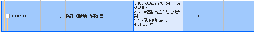 项目特征