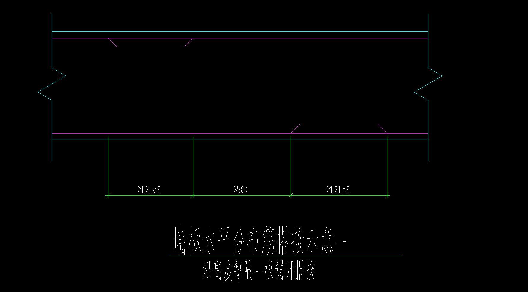分布筋
