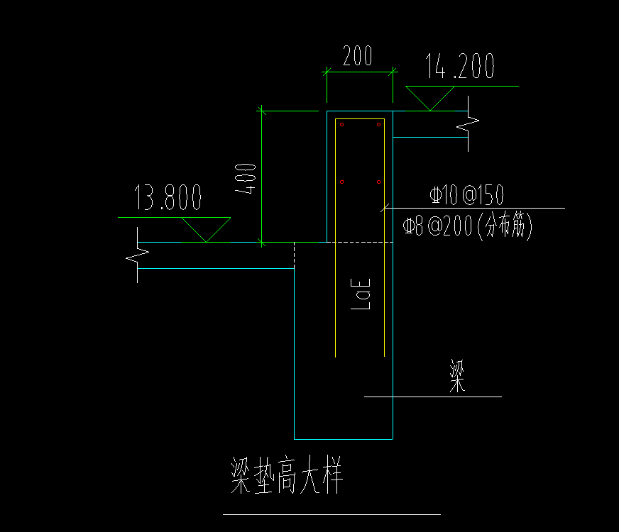 分布筋