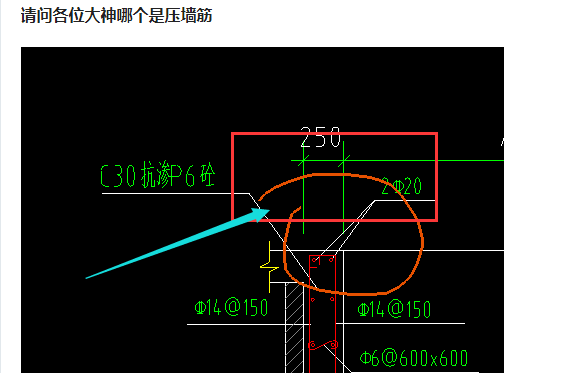 墙筋