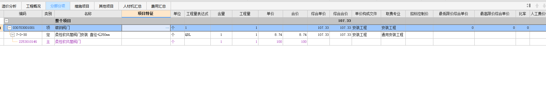 项目特征
